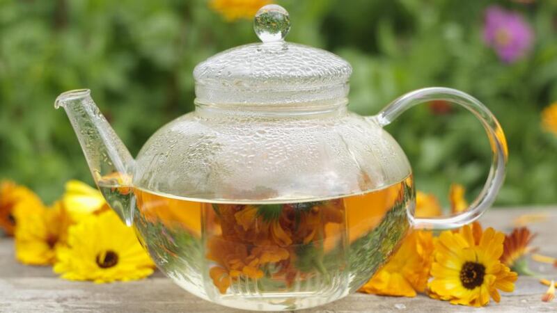 An infusion of Calendula flowers