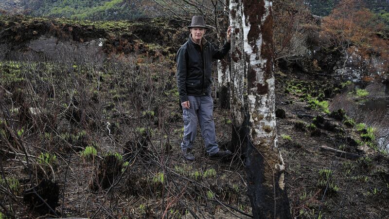 Environmentalist Kevin Tarrant on burnt ground at the Upper Lake, Killarney National Park. ‘You can set your watch to when these fires will start ,’ he says. ‘It is always after a dry spell and before rain comes. Photograph: Valerie O’Sullivan