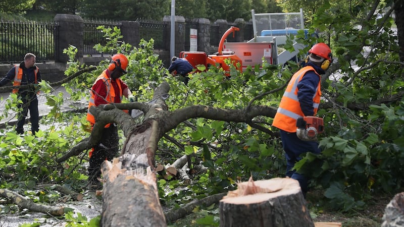 Workmen deal with a fallen tree on Finglass Road by Glasnevin Cemetary in Dublin. Photograph: PA