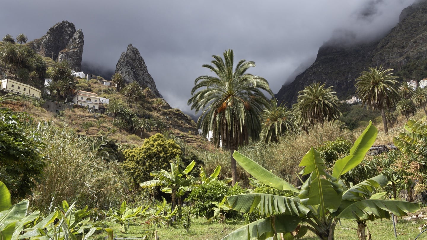Mist descends over the Roques de San Pedro at Hermigua. Photograph: Getty Images