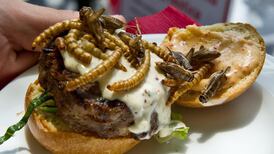 Is eating bugs just another food fad?