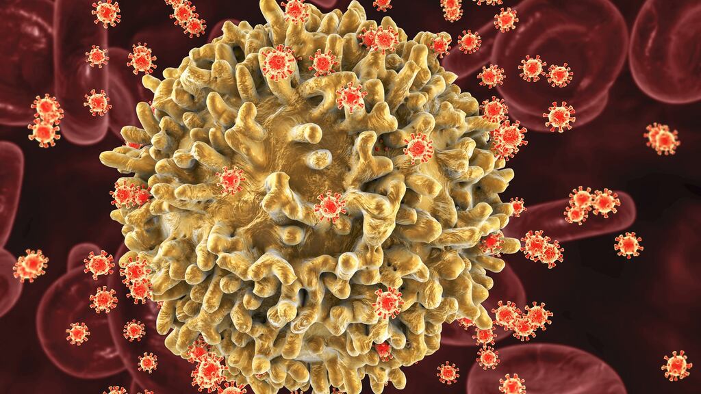 HIV viruses infecting T-lymphocytes, computer illustration. The virus has infected the T-cell, and instructed the cell to reproduce many more viruses. This viral budding causes the T-cell to die. Photograph: Kateryna Kon/Science Photo Library/Getty Images
