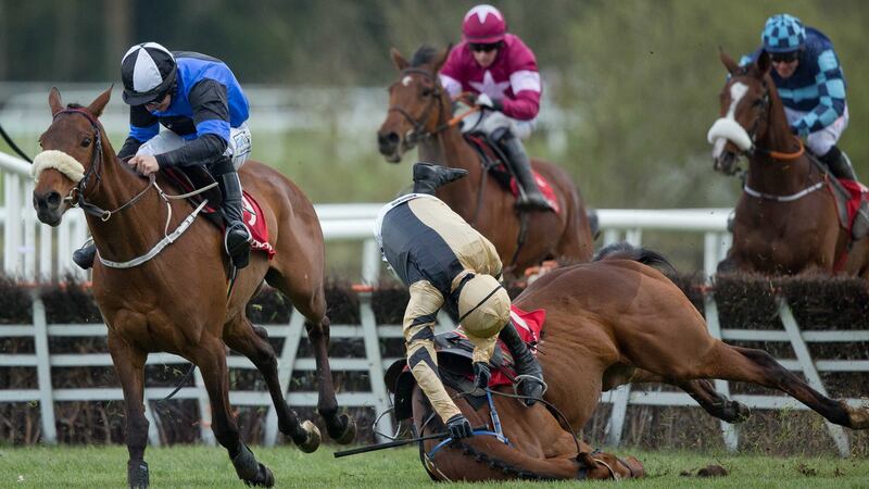 Ruby Walsh comes off Shaneshill at the 2016 Punchestown Festival. Photograph: Morgan Treacy/Inpho