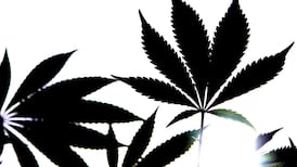 Man charged after gardaí seize cannabis valued at €90,000 in Co Kerry