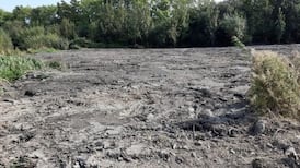 Irish Times view on the destruction of an ecological treasure