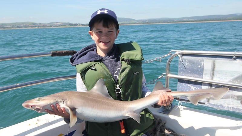 Young specimen angler of 2018, John Patrick Chew with his 5.9kg smooth-hound at Wicklow.