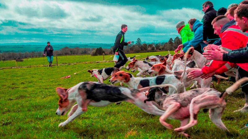 Slipped. Category: Open. Photographer: Alan Buckley, Cork. ‘I took this photograph as part of a series for my final college project. It is the moment that dogs are released at a drag-hunt, a traditional sport found in Co Cork.’