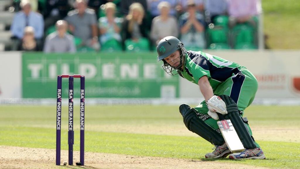 Ireland’s William Porterfield was 127 not out against the USA. Photograph: Morgan Treacy/Inpho