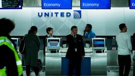 Puppy death in-flight: Senators seek to bar animal endangerment