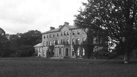 ‘Shed of turf’ the sleeper lot at Roscommon antiques auction