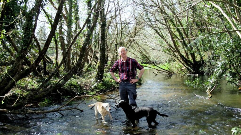 Nicholas Grubb, who owns the Dromana fishery on the river Blackwater, says recent trials in Scotland show the beaver’s potential for improving river habitats. Photograph: Bill Flynn