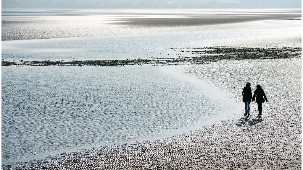 “A reliable friend is a confessor of your secrets and sorrows, a concelebrant in your every joy.” Photograph: Bryan O’Brien