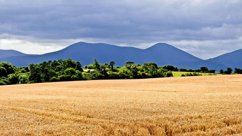 Take the pilgrim path