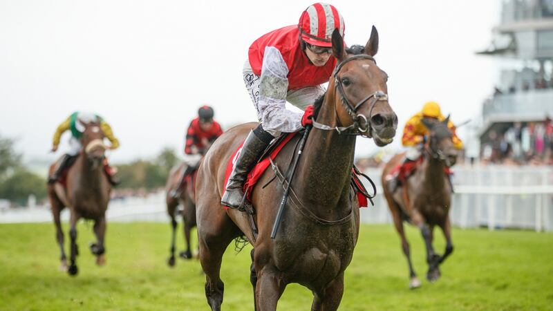 Mark Enright wins the Rovetta race the Tote Irish EBF Mares’ Handicap Hurdle at Galway. Photograph: James Crombie/Inpho