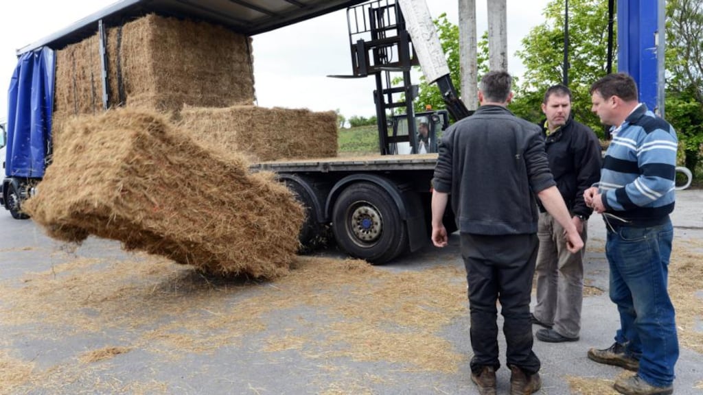 Fodder brought in from Brighton, England, is distributed to farmers affected by the fodder shortage at Kiltoghert Co-Op, Co Leitrim, last week