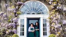 Supermarkets give helping hand to new brands and food producers