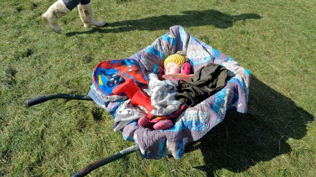 Baby Ally in her wheelbarrow. Photograph: Dave Meehan