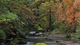 Wicklow plan to dump material dredged from Dargle rejected