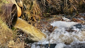 Where are Ireland’s most polluted rivers and lakes?