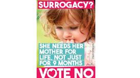 Noel Whelan: No side posters may prove counterproductive