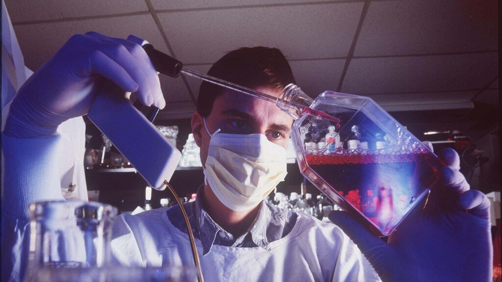 “They didn’t tell us the truth about the dogs. If I’d known the dogs were dead, I wouldn’t have risked my life for €1,900. I wouldn’t have signed up. I’m not crazy”