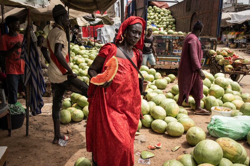 A woman holding a slice of watermelon as the new watermelon season started in Dakar this month. The impact of climate change on fishing and farming, traditional sources of work for young people, has exacerbated the problem of youth unemployment in the country. Photograph: John Wessels/AFP via Getty Images