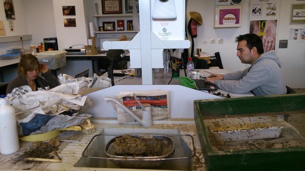 Volunteers at the Association for the Recovery of Historical Memory laboratory in Ponferrada. In common with her colleagues, Nuria Maqueda (left) is unable to find paid employument and now works full-time as a volunteer identifying mass graves containing anonymous victims of the civil war. Photogragh: Guy Hedgecoe