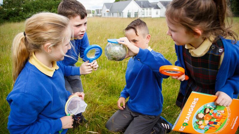 The Eco Rangers programme is now in its second year on the primary school education syllabus