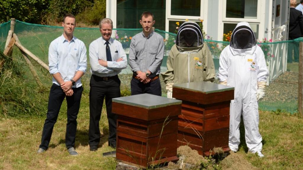 Master beekeeper Liam McGarry and Dr Damien Mohan with two patients who are taking part in the Central Mental Hospital’s beekeeping project, in Dundrum, Co Dublin. Photograph: Cyril Byrne