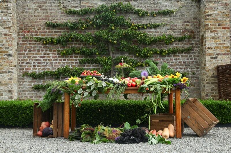 Autumnal bounty in the walled garden at the visitor centre in the Phoenix Park