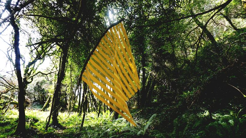 Bui from the Silva 2018 residency and exhibition at Knockomagh Wood nature reserve,  west Cork. Photograph: Fellipe Lopes.