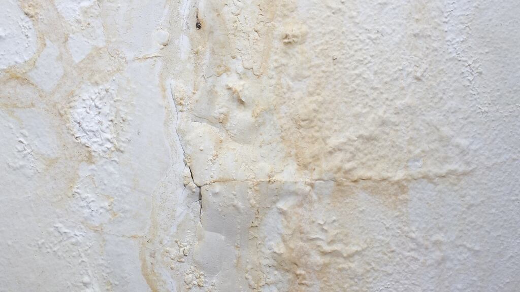 A painted wall  covered in cracks that fill with  water, causing  damp. Photograph: Getty Images