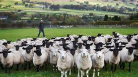 No tariffs post-Brexit on EU imports would break WTO rules