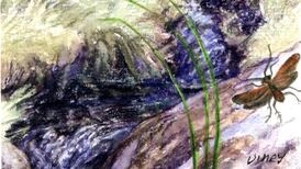 Another Life: Life along the stream – a love story