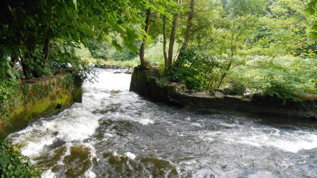 The Liffey running through St Catherine’s Wood in Lucan. Photograph: Ruth McNally