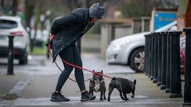 I’m terrified of your dog and don’t want it to come anywhere near me