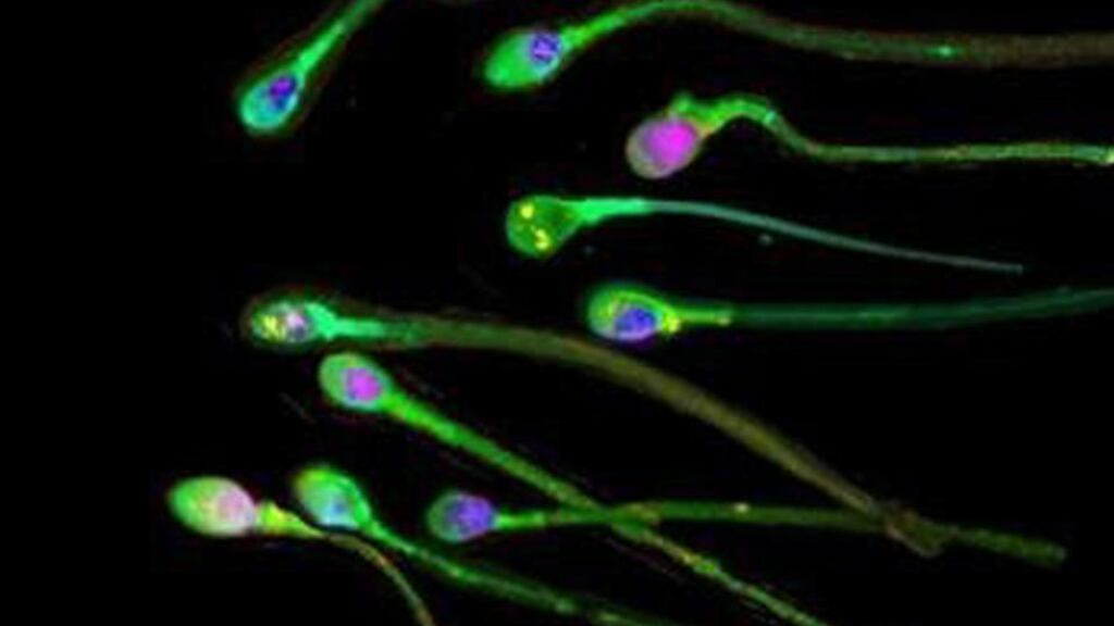 There is a movement to get anonymous donor conception outlawed