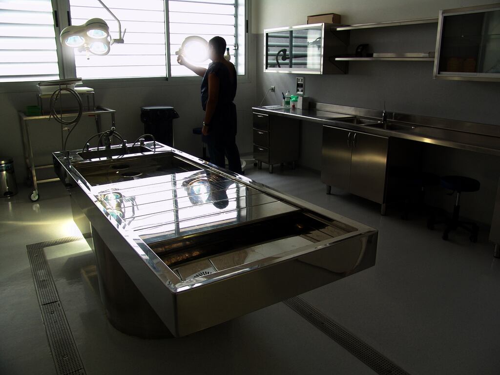 Micheál Martin offered his deepest sympathies to the families involved and said it had been 'distressing' for them to learn that their children’s organs had been disposed of without their knowledge. Photograph: iStock