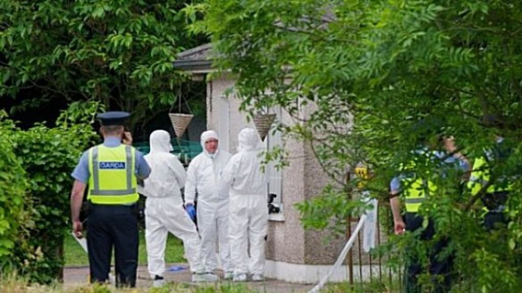 Gardaí at the scene off Maglin road, Ballincollig, Co Cork, where a man died and his partner was injured following an attack by several assailants armed with weapons. Photograph: Daragh Mc Sweeney/Provision