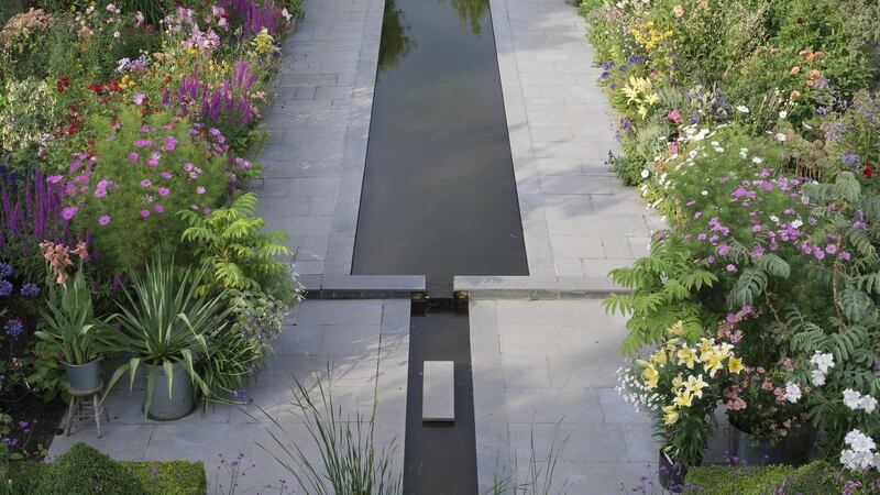 A detail of Helen Dillon’s garden at 45 Sandford Terrace, Ranelagh, Dublin 6. Photograph: Richard Johnston
