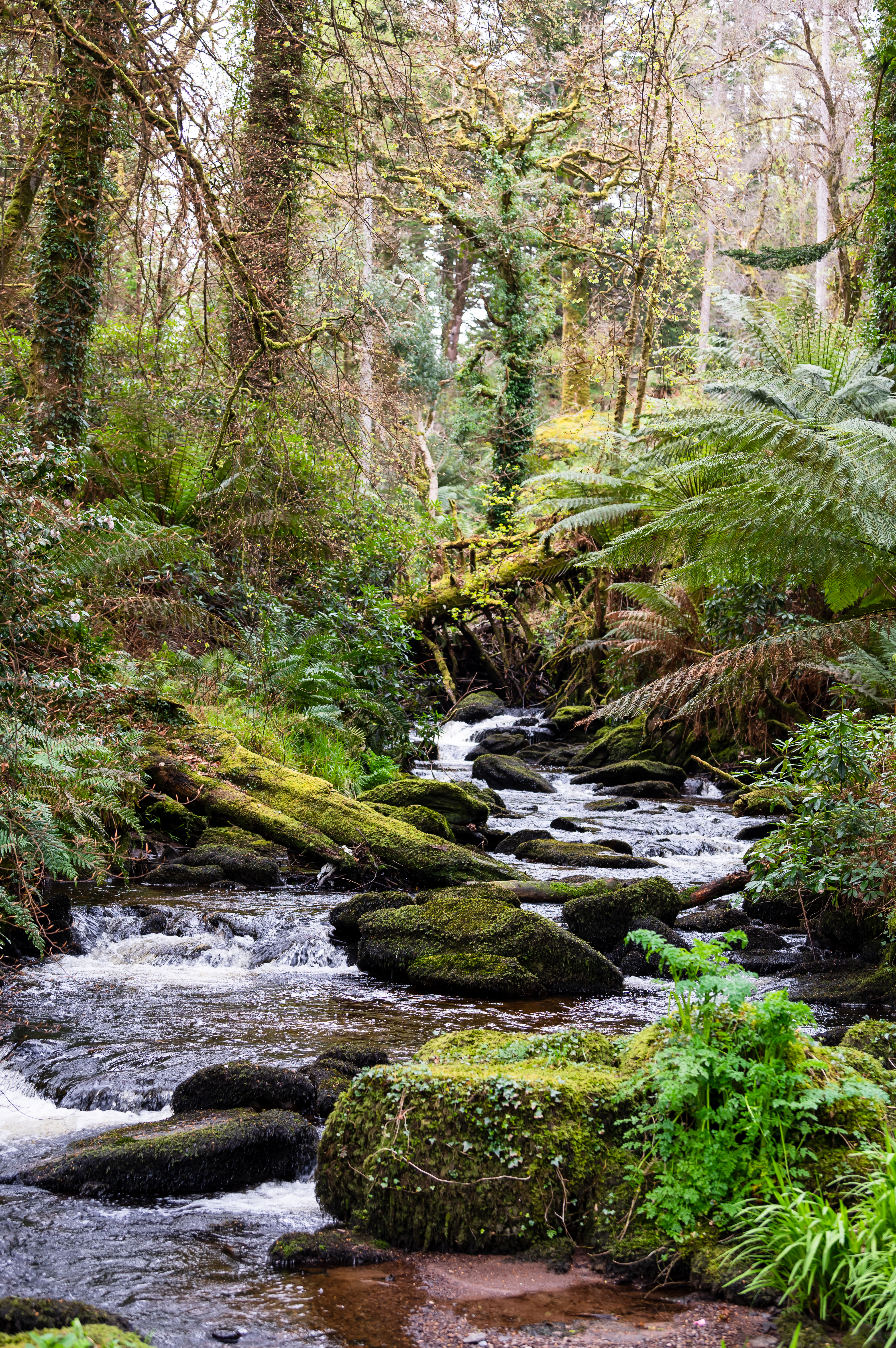 Kells Bay House and Gardens: A river runs through the 60-acre property