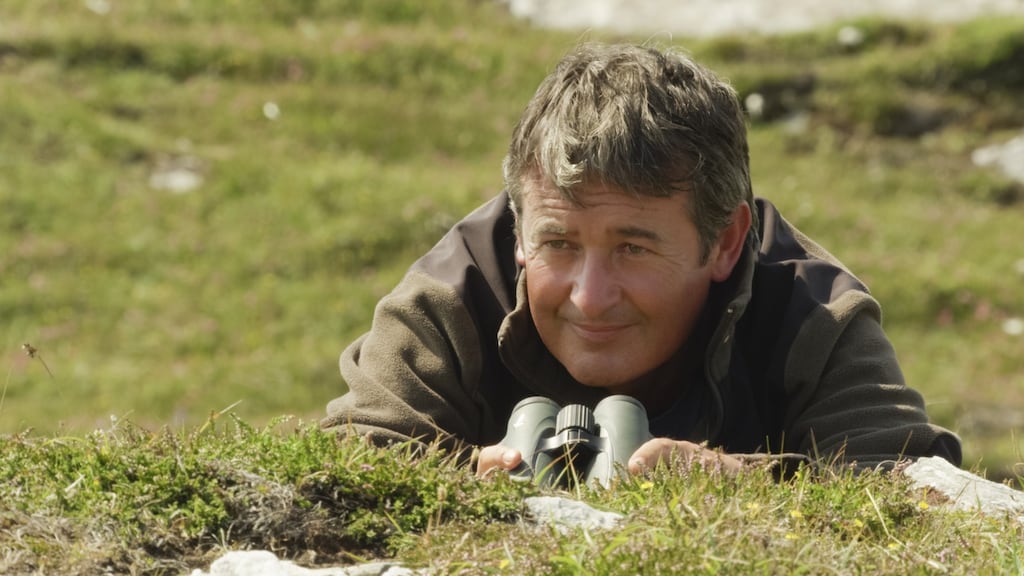 Colin Stafford-Johnson has worked on wildlife productions for networks including RTÉ and the BBC