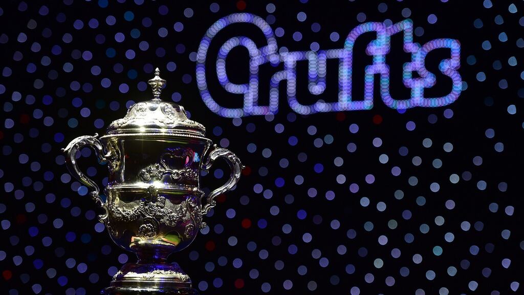 The trophy for the best in show category at the Crufts Dog Show in Birmingham, England. Dog breeders have reacted to criticism of Irish practices following the latest controversy to hit Crufts. Photograph: Leon Neal/AFP/Getty Images
