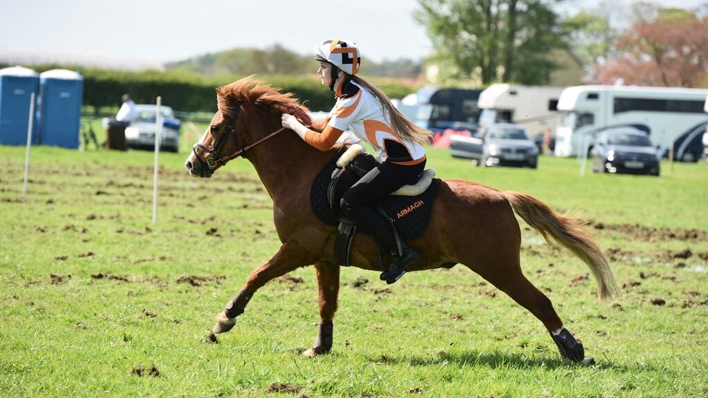 The new product is a customisable girth with a unique pressure relief system that can potentially improve horse performance,   welfare and comfort