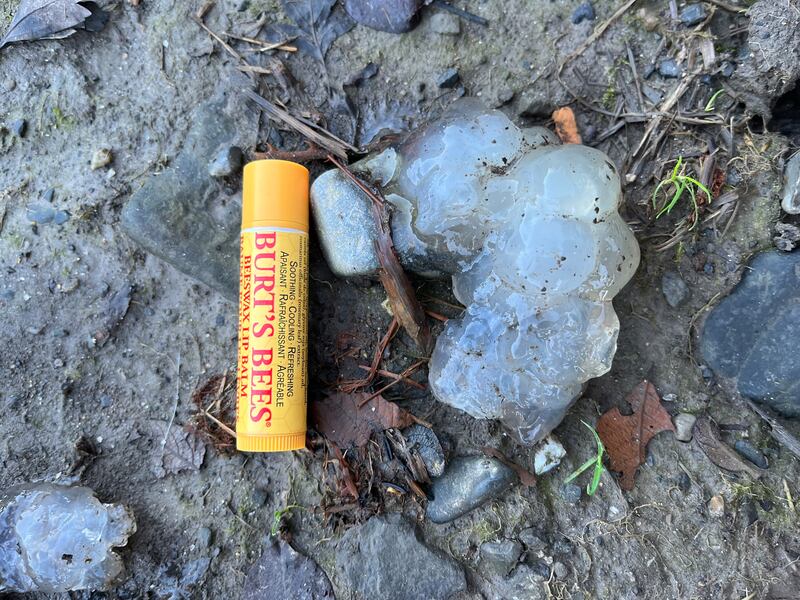 To complete this master class on gloopy deposits, this is the delightfully named star snot. Photograph: Doris Coyne