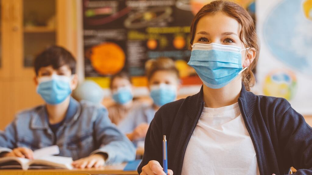 Nphet says that the data on positivity rates in schools suggested that they are not drivers of infection. Photograph: iStock