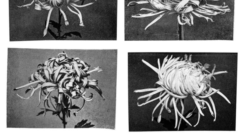 Idjut Boys: Versions | Album Review