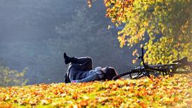 Balmy start to November sees record temperatures