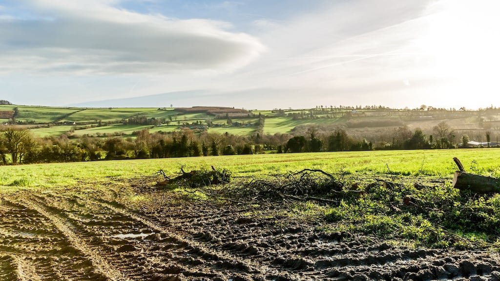 All quiet on the western front