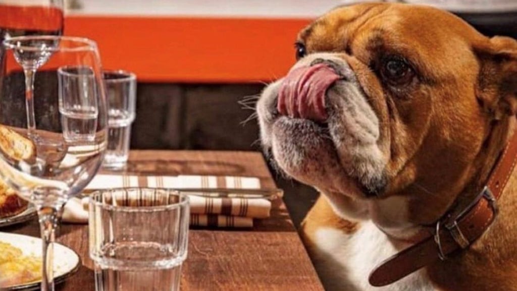 Hobknob eating at Amy Austin in Dublin 2.